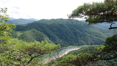 정모 대표 이미지