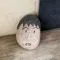 member face