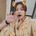 member face
