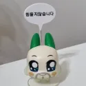 member face