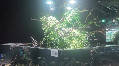 정모 대표 이미지