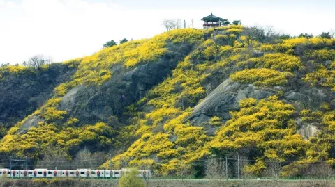 정모 대표 이미지