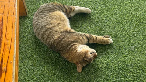 정모 대표 이미지