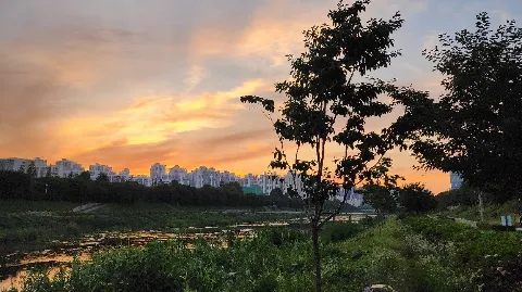 정모 대표 이미지