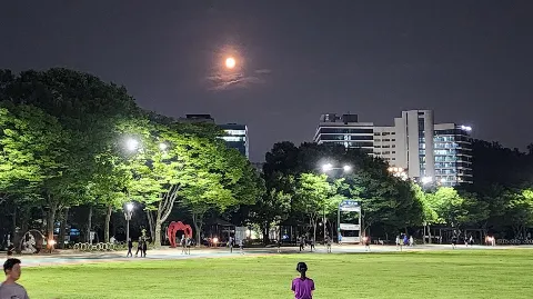 정모 대표 이미지