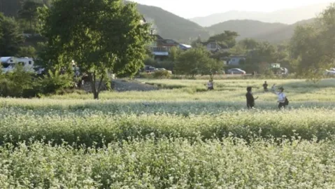 정모 대표 이미지