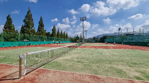 정모 대표 이미지