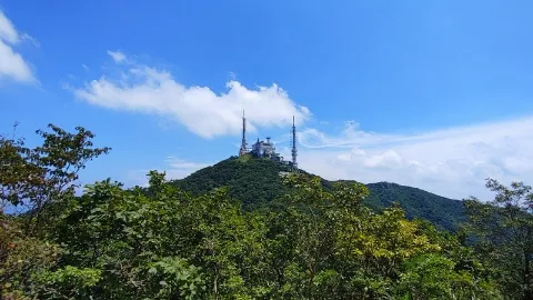 정모 대표 이미지