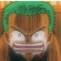 member face