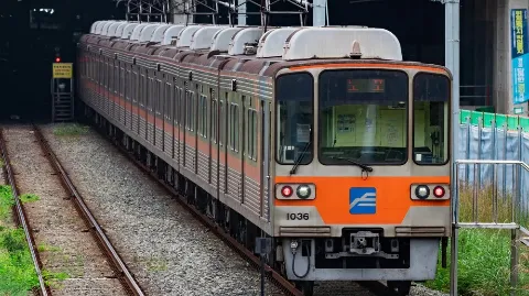 정모 대표 이미지