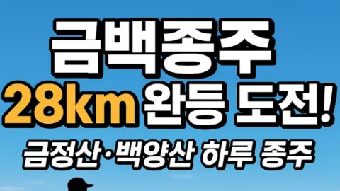 정모 대표 이미지