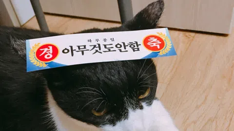 정모 대표 이미지