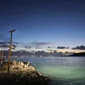 member face