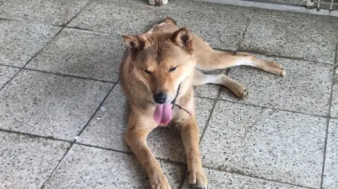 정모 대표 이미지