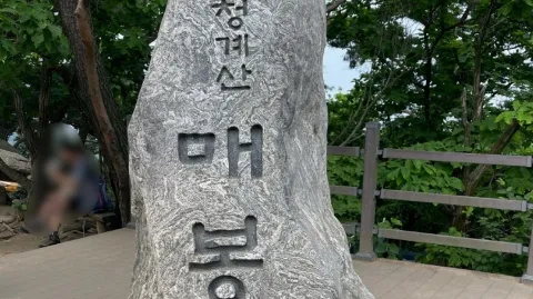 정모 대표 이미지
