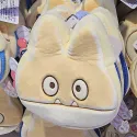member face