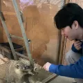 member face