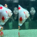 member face