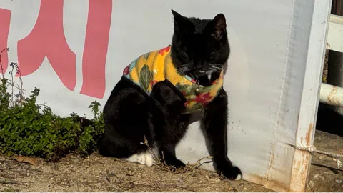 정모 대표 이미지