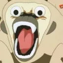 member face