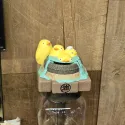 member face