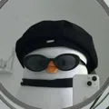 member face
