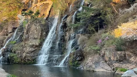 정모 대표 이미지