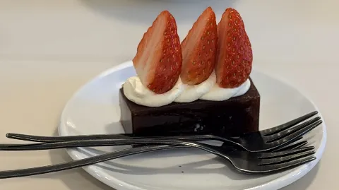 정모 대표 이미지