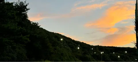 모임 대표 이미지
