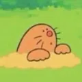 member face