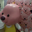 member face
