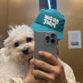 member face