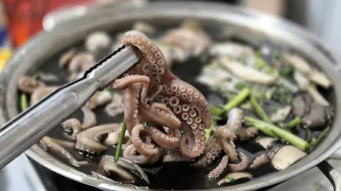 정모 대표 이미지