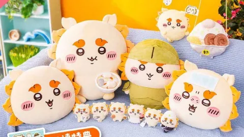 정모 대표 이미지