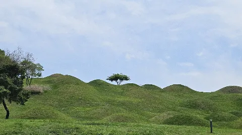 정모 대표 이미지