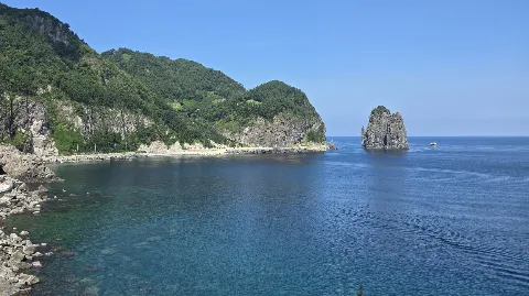 정모 대표 이미지