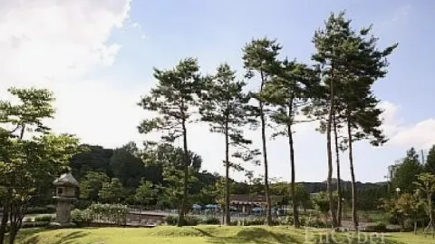 정모 대표 이미지