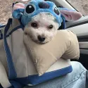 member face