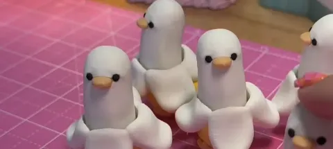 모임 대표 이미지