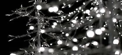 모임 대표 이미지