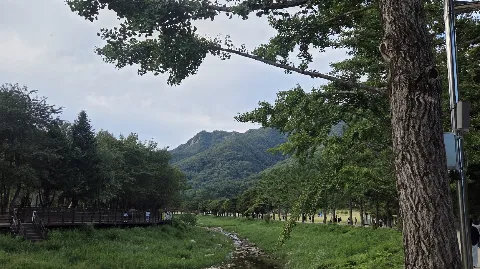 정모 대표 이미지
