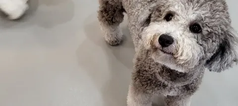 모임 대표 이미지