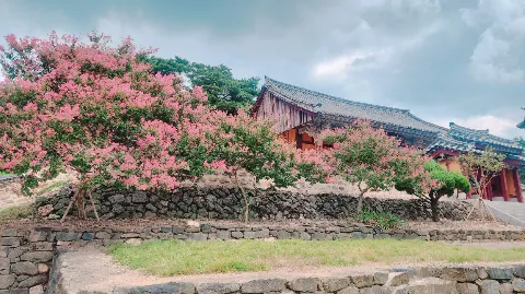 정모 대표 이미지