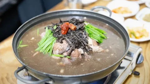 정모 대표 이미지