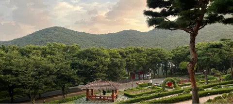 모임 대표 이미지