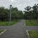 member face
