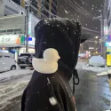 member face