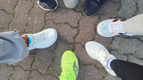 정모 대표 이미지