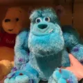member face