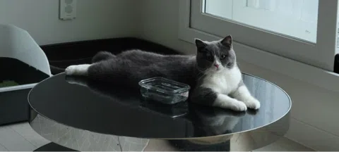 모임 대표 이미지